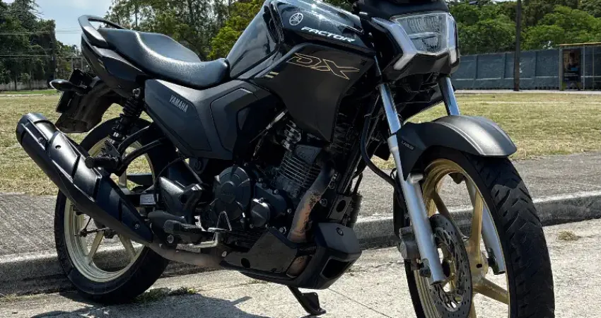 Factor DX 2025 - Pronta Entrega