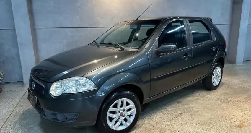Fiat Palio ELX FLEX - Cinza - 2010/2010