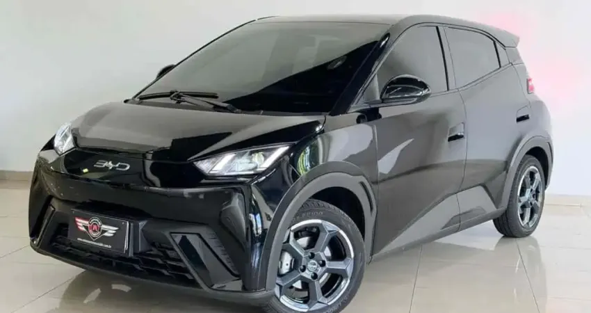 Byd Dolphin mini 2025 38 km elétrico