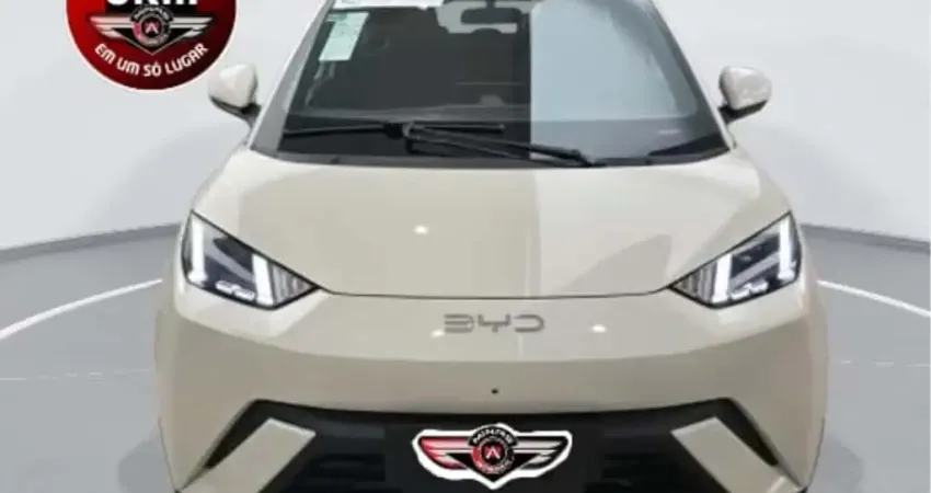 Byd Dolphin mini 2026 38 km elétrico 5l