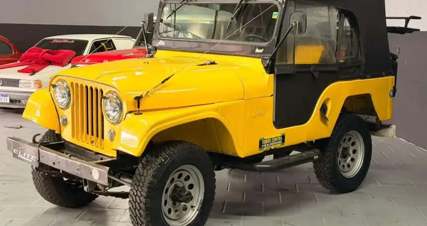 JEEP WILLYS JEEP 4X4 1966