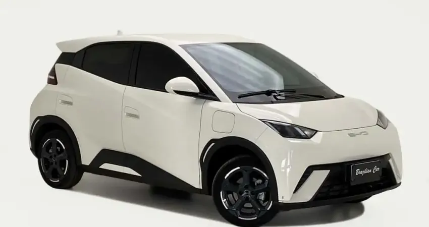 BYD DOLPHIN Mini (Elétrico)