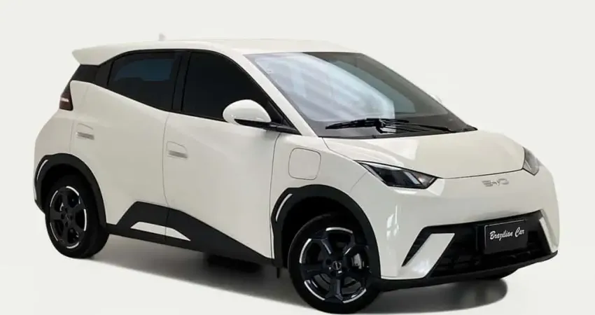 BYD DOLPHIN MINI Mini (Elétrico)