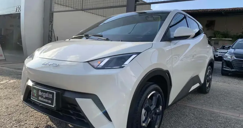 Byd Dolphin mini 2024 38 kw elétrico