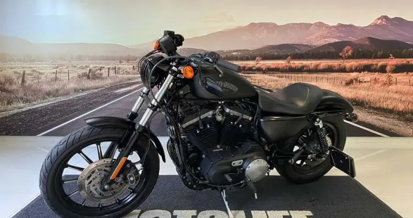 HARLEY-DAVIDSON XL883N 2014