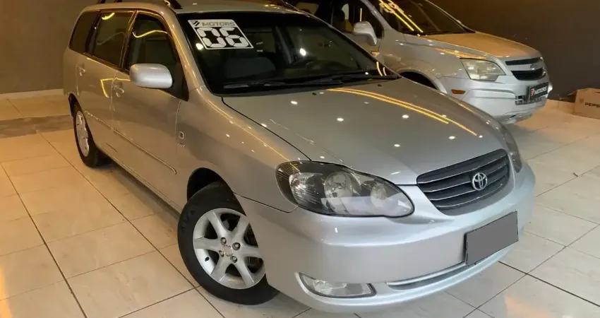 FIELDER XEI 2006 PRATA