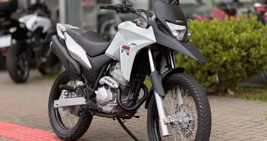 Honda XRE 300 RALLY FLEX  - Branca - 2014/2014