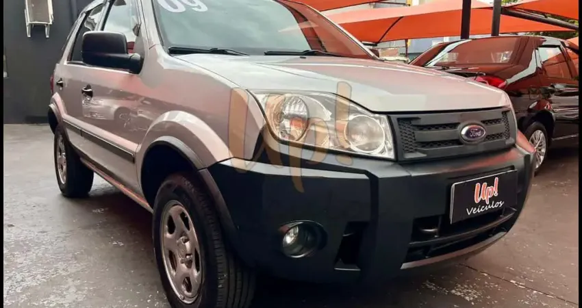 Ford EcoSport 1.6 4P XLS FLEX - Prata - 2009/2009