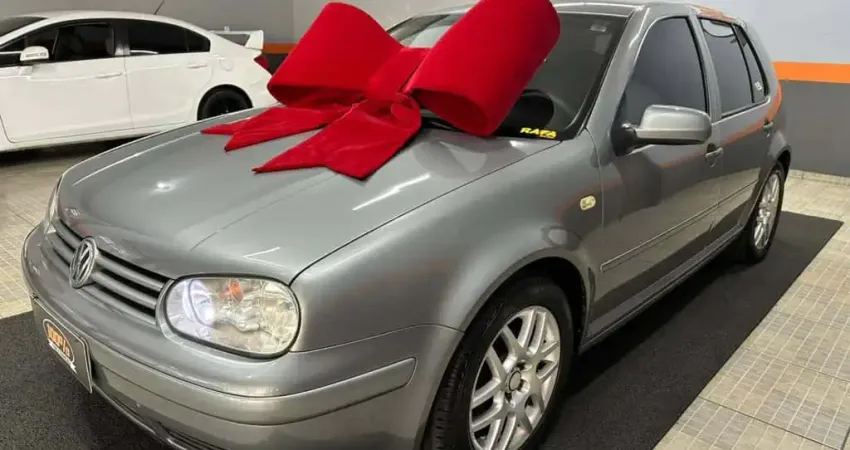 Volkswagen Golf Plus VW/ 1.6 - Cinza - 2004/2004