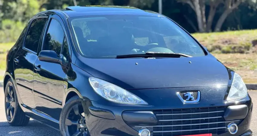 PEUGEOT 307 16 PR PK 2010