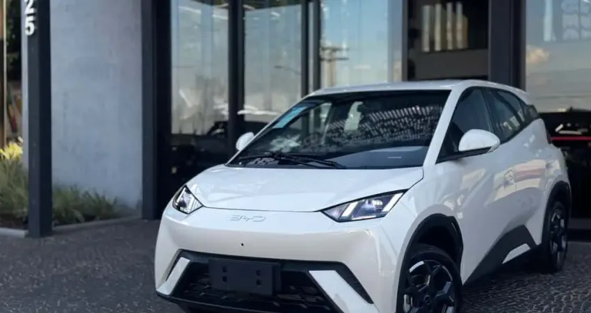 Byd Dolphin mini 2026 38 kw elétrico gs