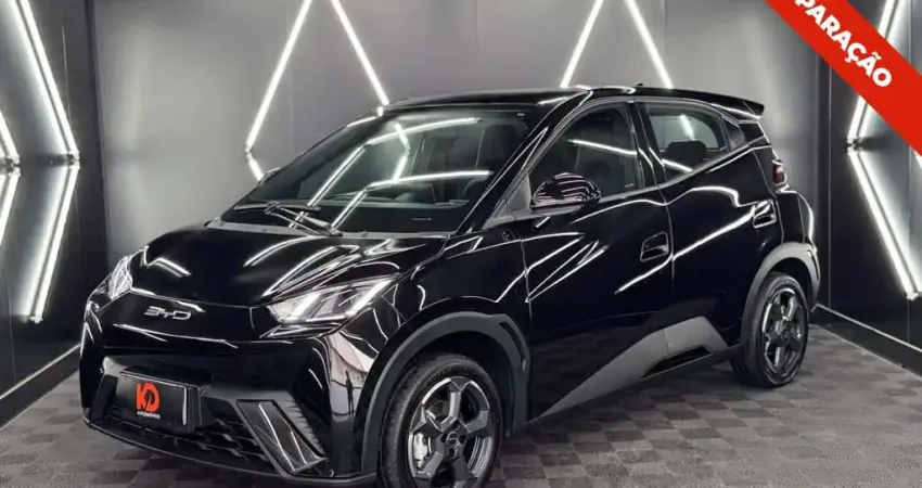 Byd Dolphin mini 2025 38 km elétrico