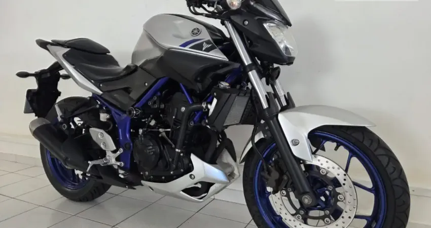MT 03