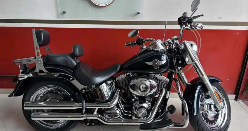 Harley-davidson Fat boy flstf 2013
