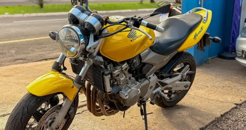 Hornet 