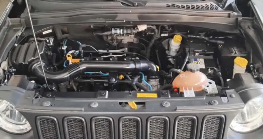 Jeep Renegade 2018 1.8 16v flex 4p automático