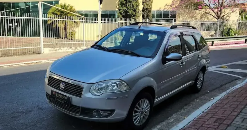 Fiat Palio Flex Manual