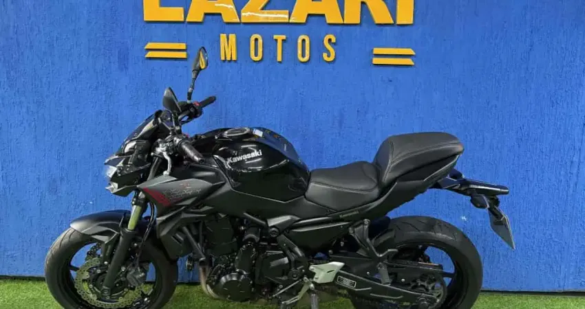 Kawasaki Z 650 2021