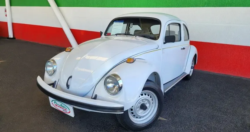 Fusca Itamar 1.600. Linda Carro.  Analiso Trocas!