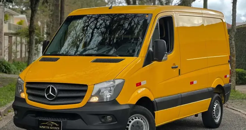 SPRINTER 313