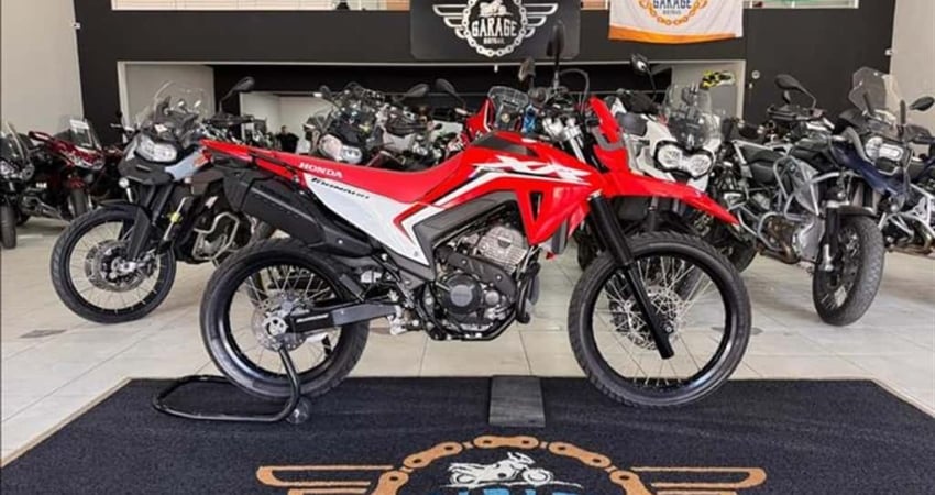 HONDA XR 300L TORNADO  - 2025/2025