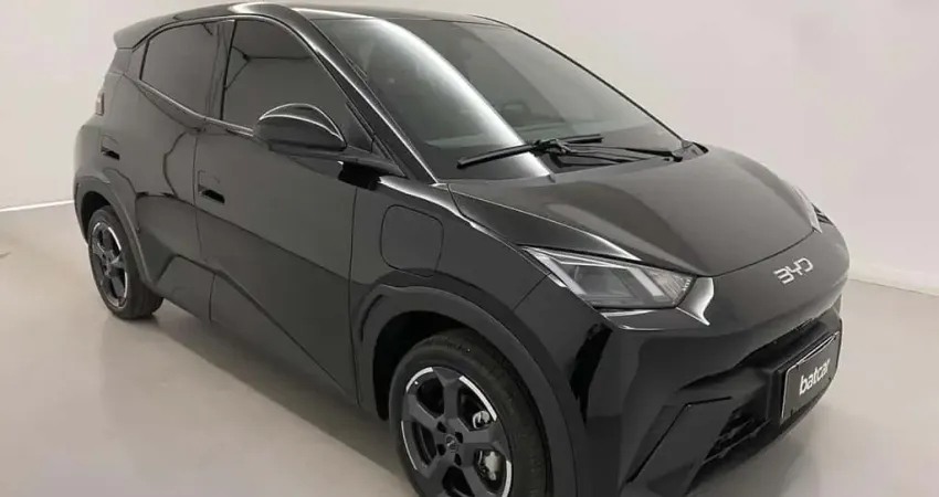 DOLPHIN MINI GS5EV 