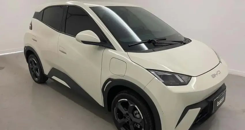 BYD DOLPHIN MINI GS EV 2025