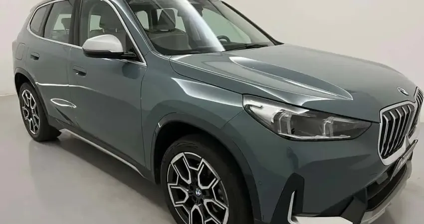 X1 SDRIVE20i X-Line 2.0T AUT