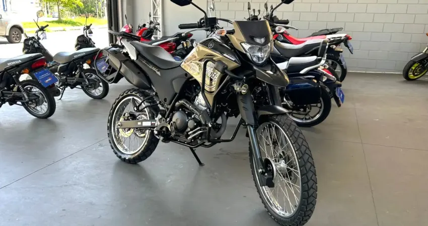 YAMAHA XTZ 250 LANDER BLUEFLEX ABS 2022