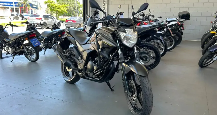 YAMAHA FAZER 250 BLUEFLEX 2017