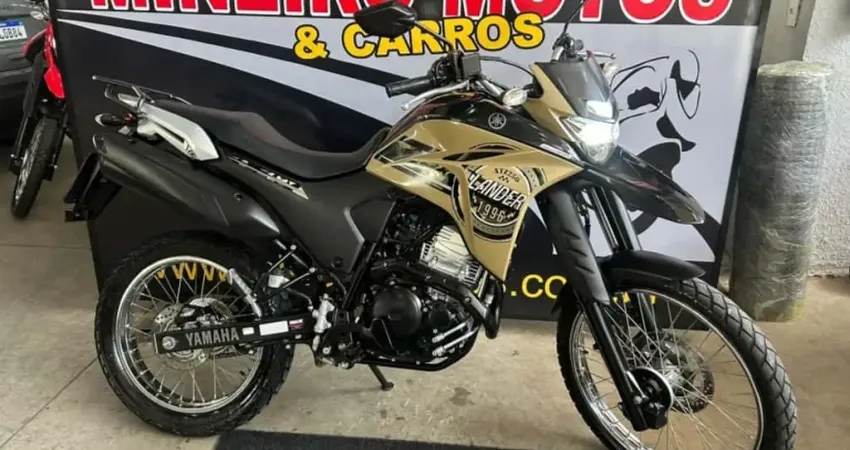 Yamaha XTZ 250 LANDER