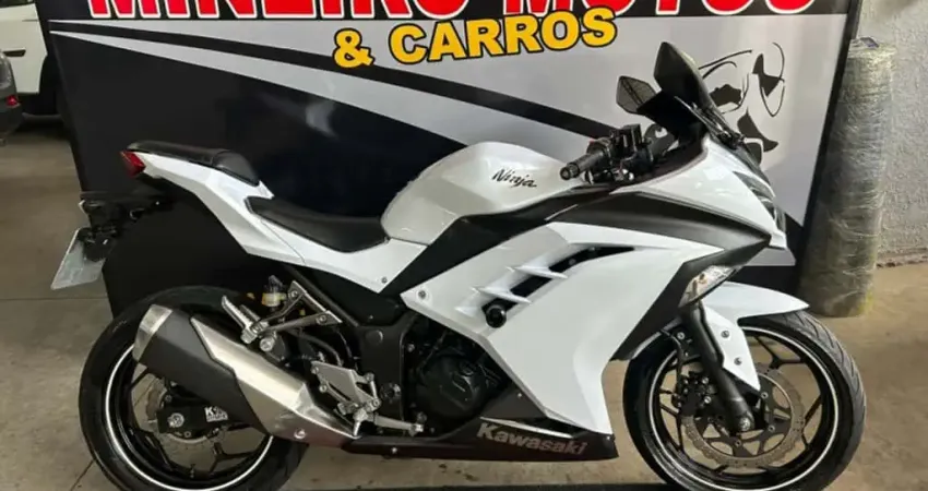 Kawasaki Ninja 300