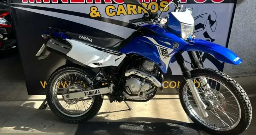 Yamaha XTZ 250 LANDER