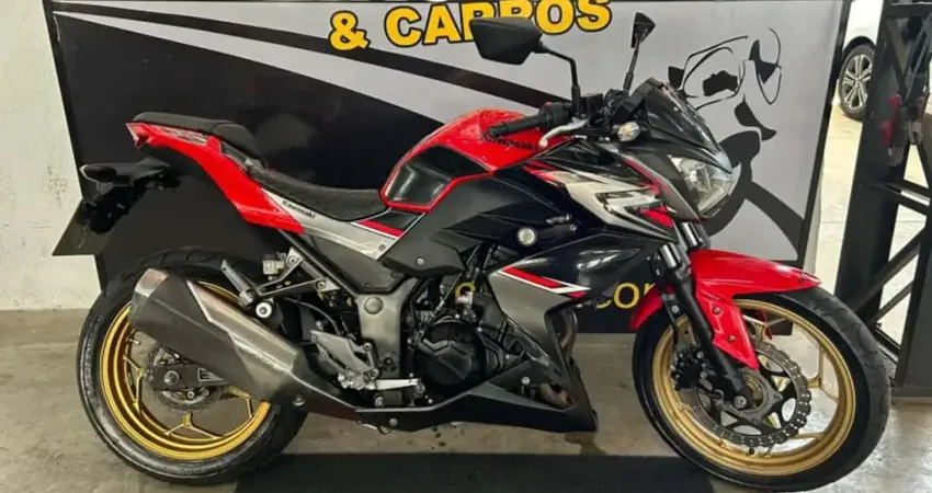 Kawasaki Z 300 ABS