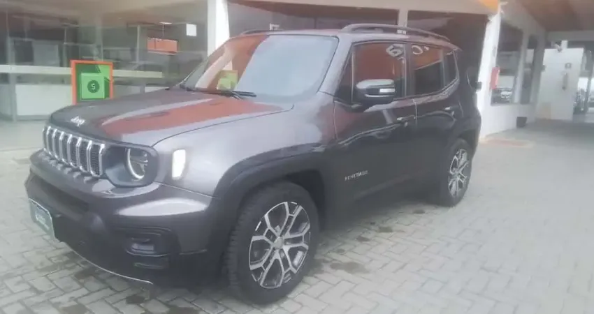 Jeep Renegade 2024 1.3 t270 turbo flex longitude at6