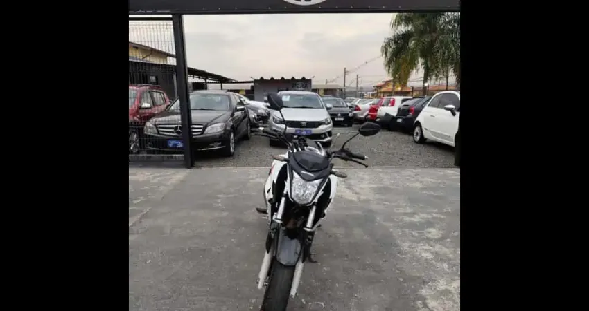 CB 250 TWISTER/FLEXONE