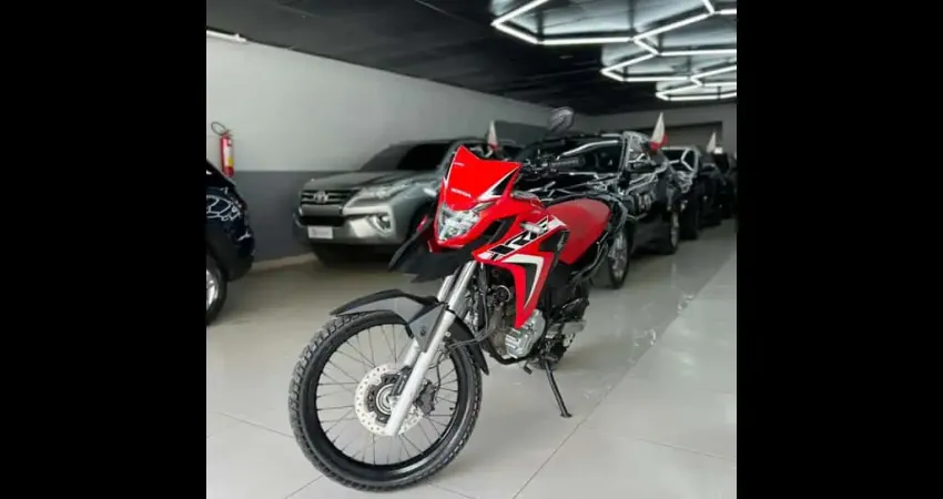 HONDA XRE 300/ 300 ABS/ FLEX