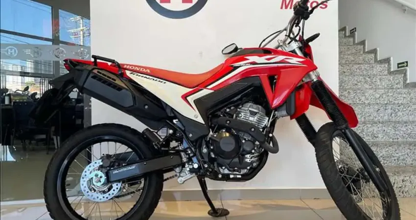 HONDA XR 300L TORNADO  - 2024/2025