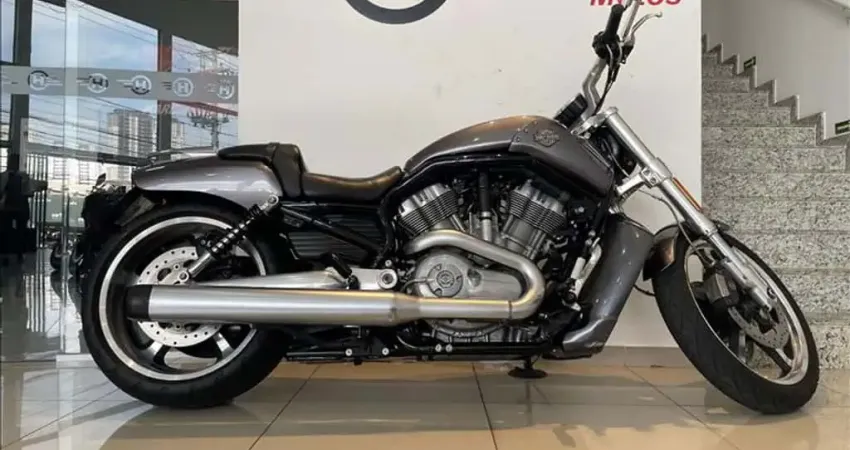 HARLEY-DAVIDSON V-ROD MUSCLE  - 2014/2014