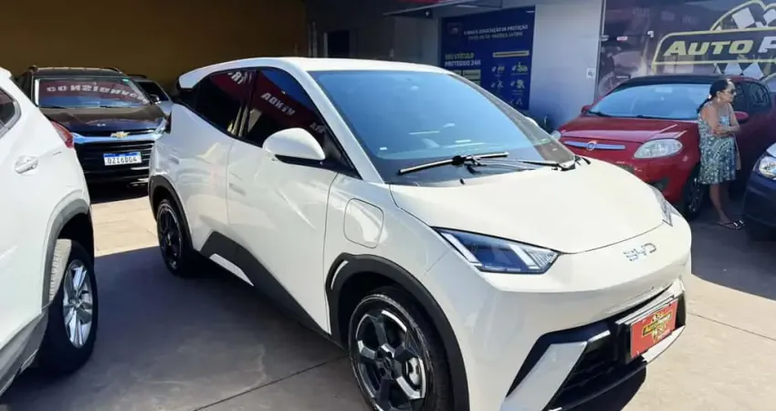 BYD DOLPHIN MINI ELÉTRICO