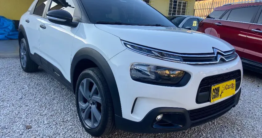 Cactus 2022 Impecavel