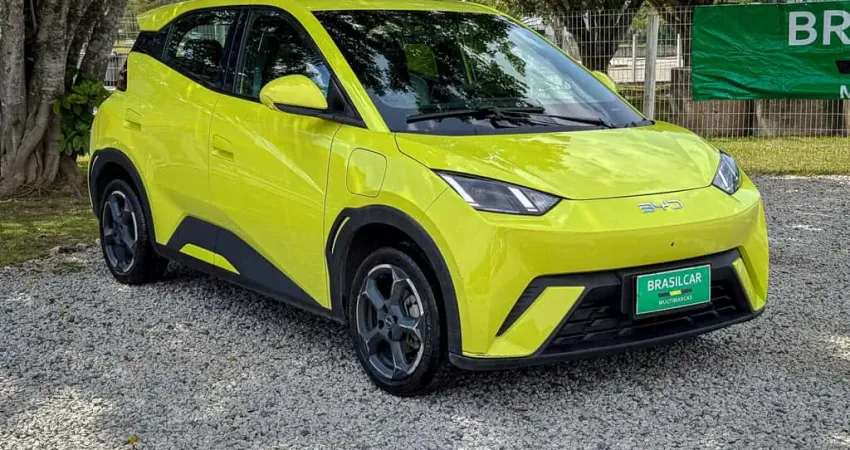 BYD Dolphin Mini (Elétrico)