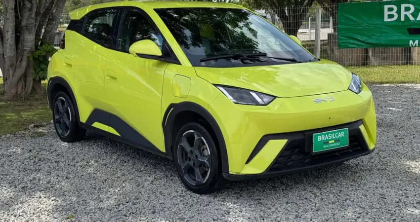 BYD Dolphin Mini (Elétrico)