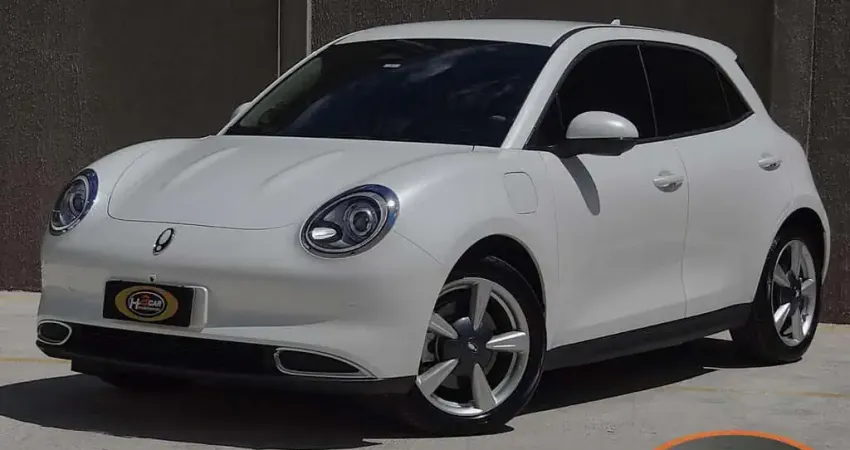 GWM ORA 03 SKIN (ELÉTRICO) 2024