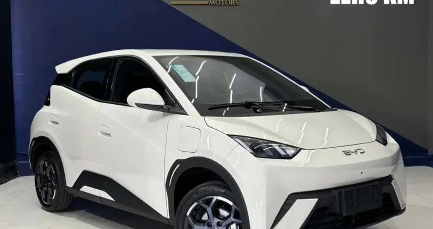 BYD DOLPHIN Mini (Elétrico)
