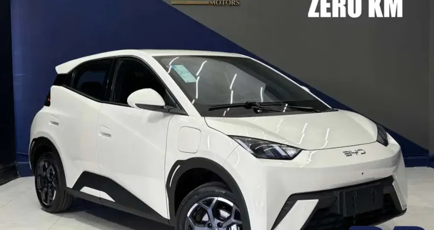 BYD DOLPHIN MINI Mini (Elétrico)