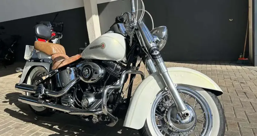 HARLEY-DAVIDSON SOFTAIL DELUXE  FLSTN 2008