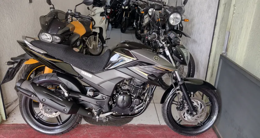 Yamaha YS 250 Fazer Blueflex  impecavel com apenas 57.000km
