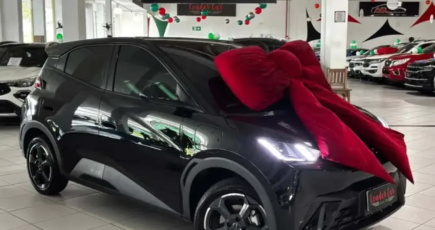 Byd Dolphin mini 2025 Gs ev