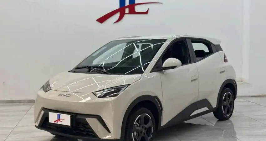 BYD DOLPHIN MINI GS EV 2025